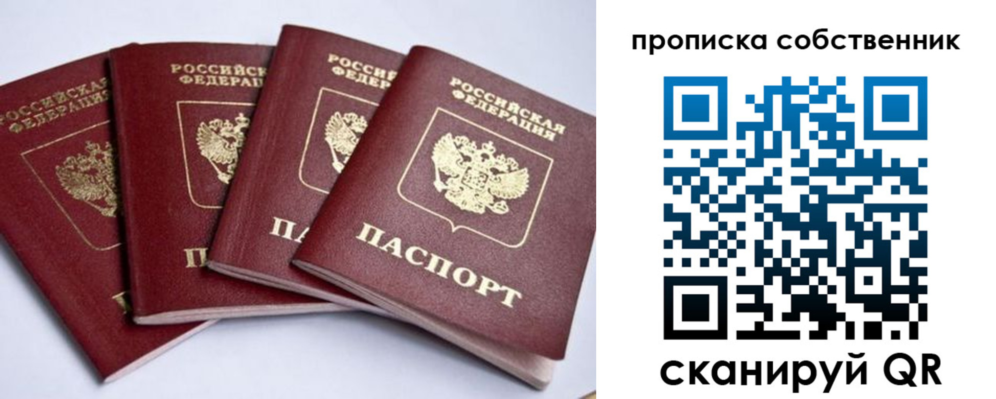прописка для школы в Новгородской области