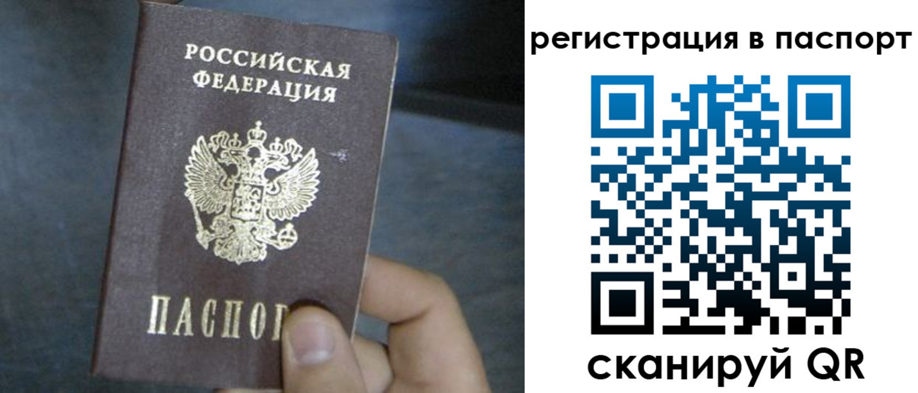 прописка 2025 в Новгородской области